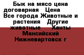 Бык на мясо цена договарная › Цена ­ 300 - Все города Животные и растения » Другие животные   . Ханты-Мансийский,Нижневартовск г.